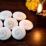 Gomti Chakra