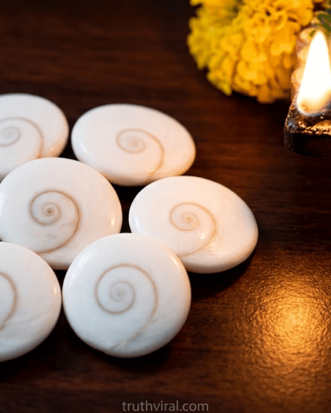 Gomti Chakra