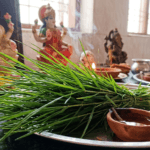 Durva grass