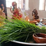 Durva grass