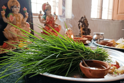 Durva grass