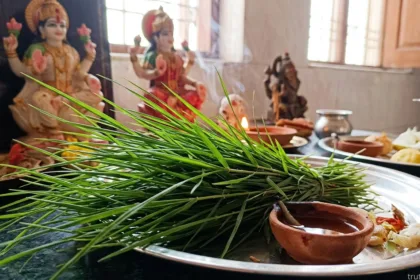 Durva grass