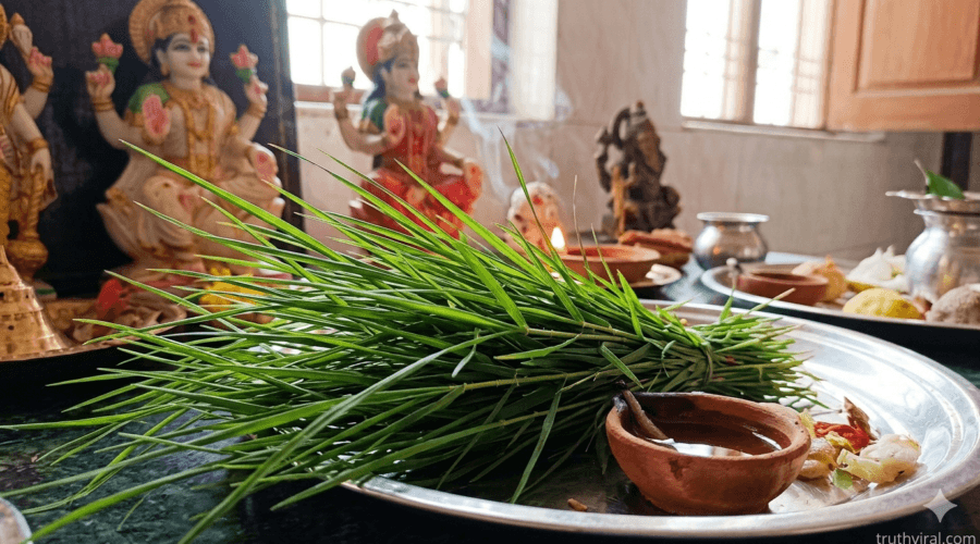 Durva grass